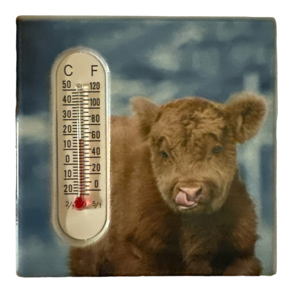 Baby Highland Cow Magnet