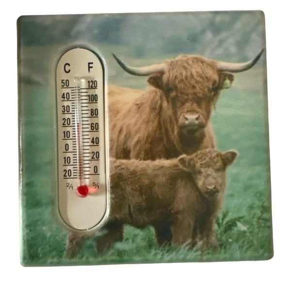 Highland Cow Family Magnet