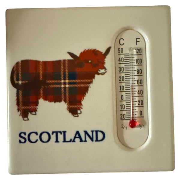 Tartan Highland Cow Magnet