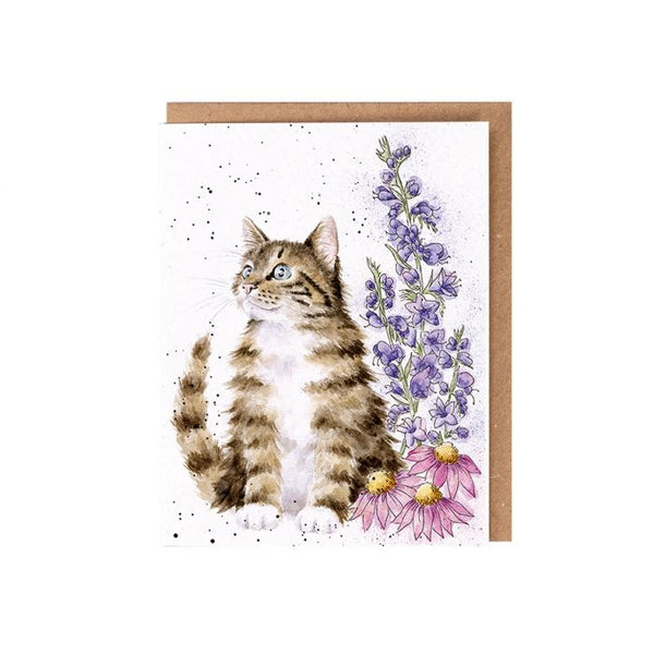 Wrendale Seed Greeting Card Cat